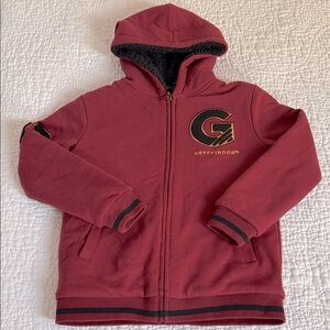 Wizarding World of Harry Potter Hoodie